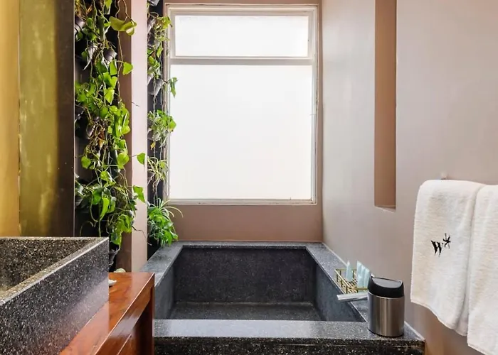 Authentic 1br In Polanco Apartment